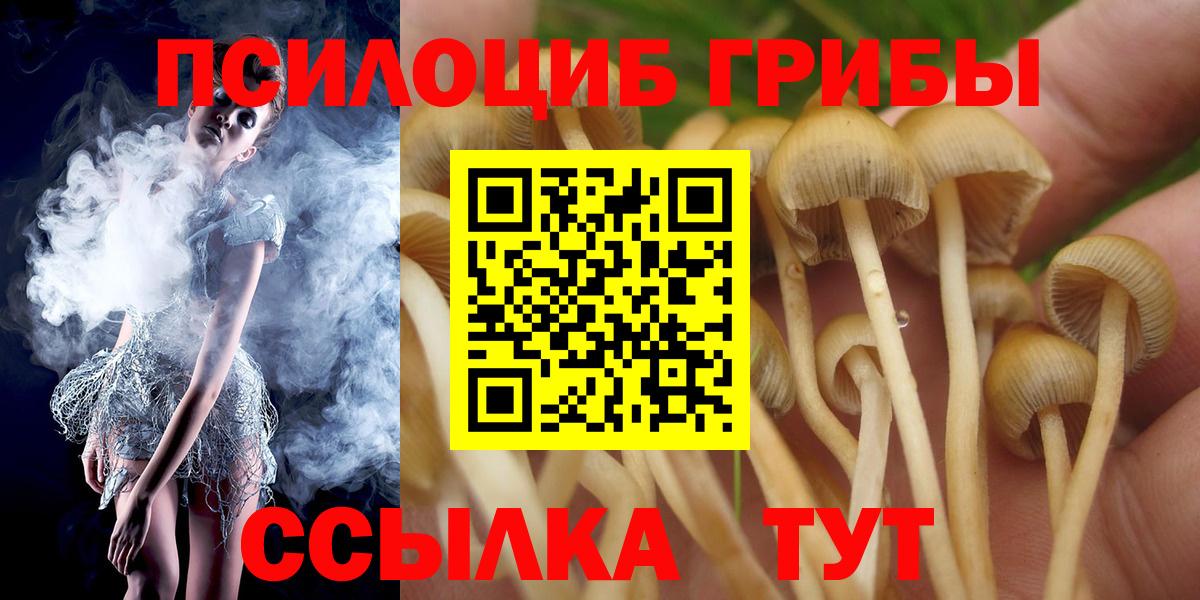 Галлюциногенные грибы Magic Shrooms Рыбинск