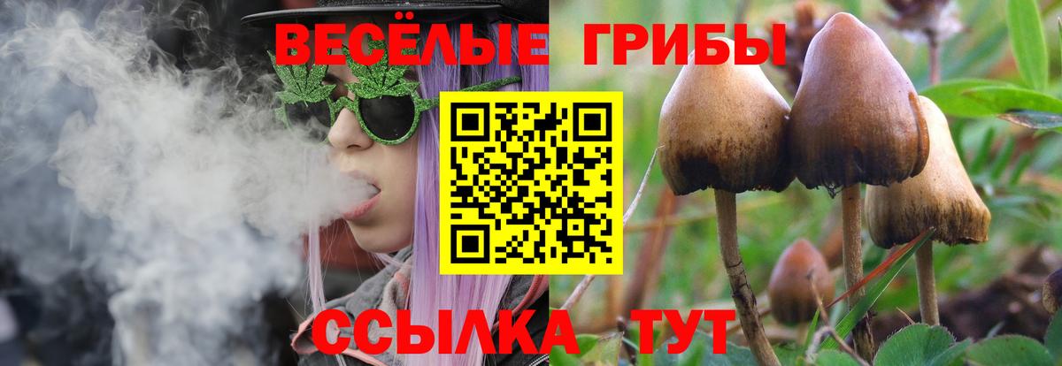 Рыбинск  Псилоцибиновые грибы ЛСД  Вход с VPN 